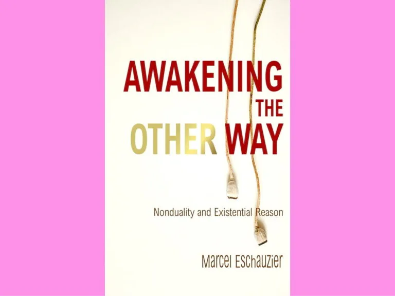Cover Awakening the Other Way: Nonduality and Existential Reason