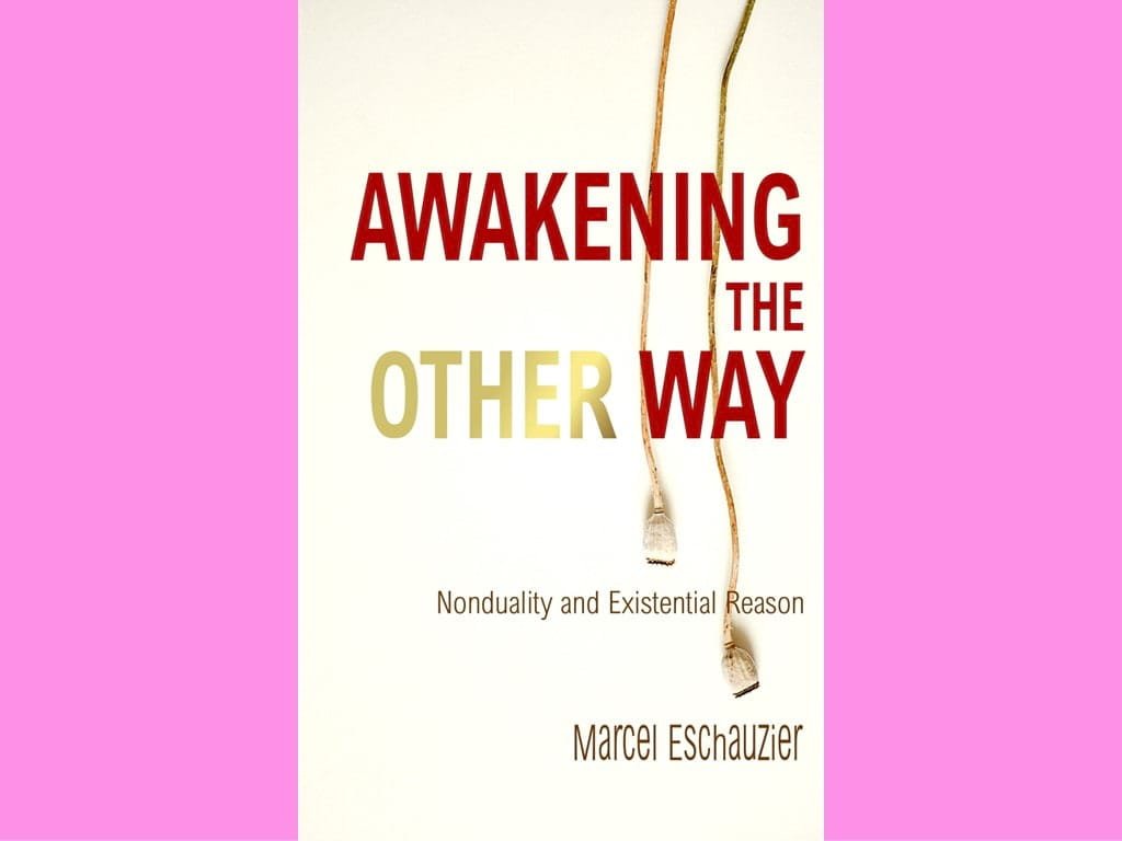 Awakening the Other Way: Nonduality and Existential Reason 1 You are currently viewing Awakening the Other Way: Nonduality and Existential Reason