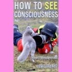 How to See Consciousness: Rational Philosophy of Mind