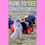 How to See Consciousness: Rational Philosophy of Mind