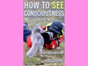 Read more about the article How to See Consciousness: Rational Philosophy of Mind