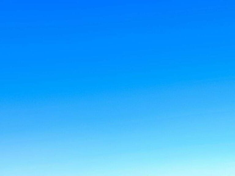 This is not blue Rene Magritte Marcel Eschauzier