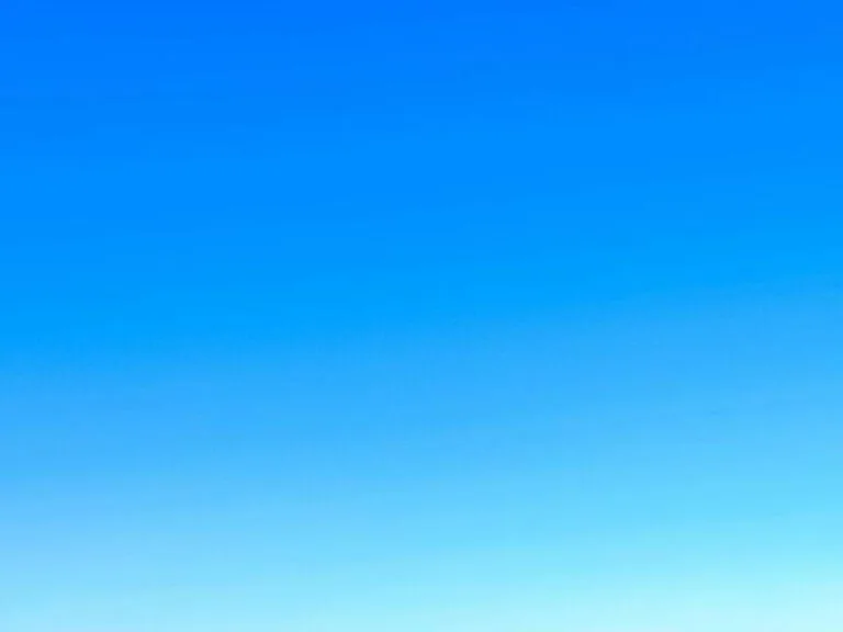 This is not blue Rene Magritte Marcel Eschauzier