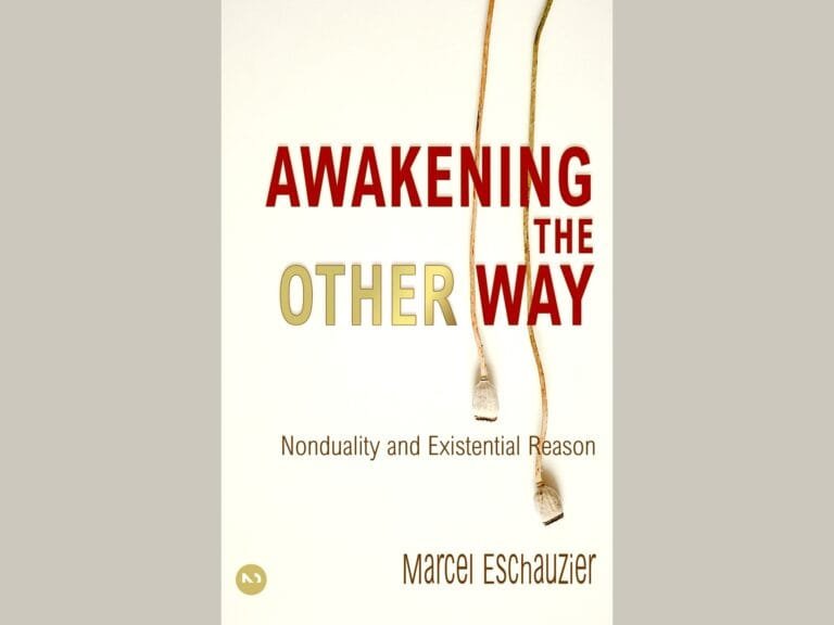 Cover Awakening the Other Way Rational Nondualism by Marcel Eschauzier