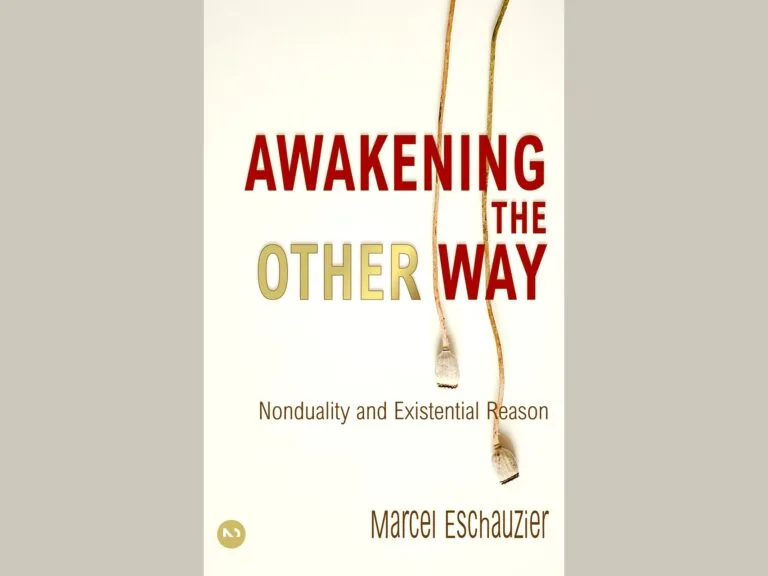 Cover Awakening the Other Way Rational Nondualism by Marcel Eschauzier
