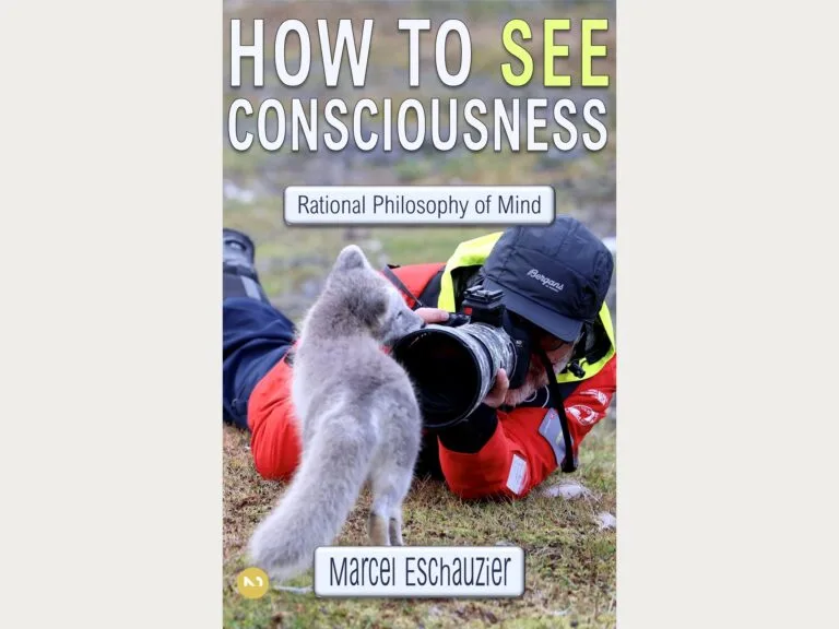 Cover How to See Consciousness Rational Nondualism by Marcel Eschauzier